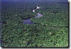 アマゾン川流域
